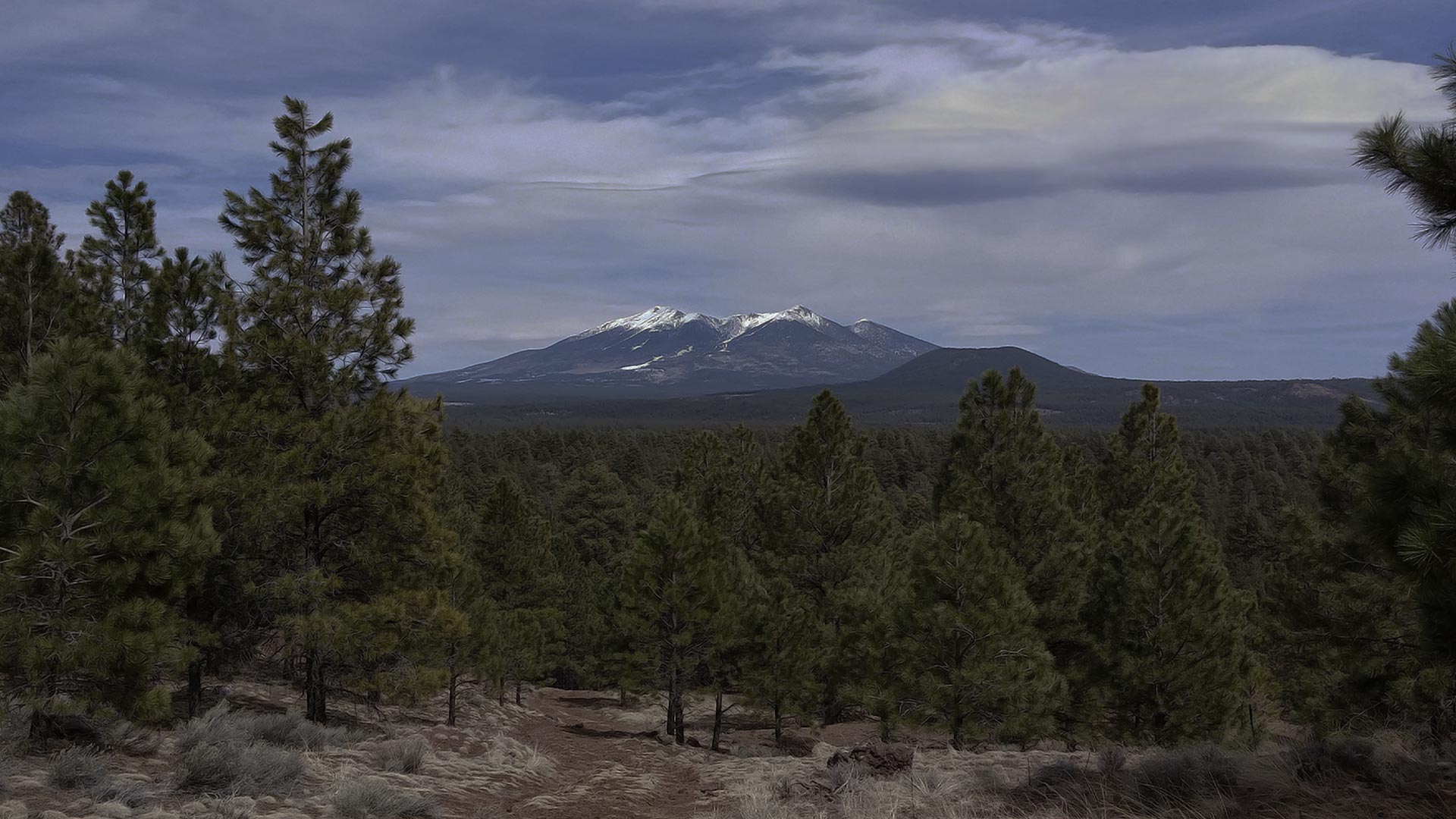 Twin Peaks Arizona Glass Installation